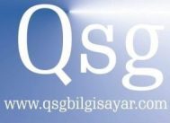 Qsg